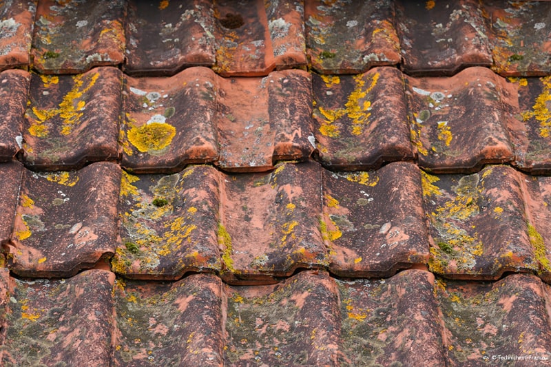 Nettoyage de toiture démoussage et traitement anti mousse grenoble isère Chambéry Savoie